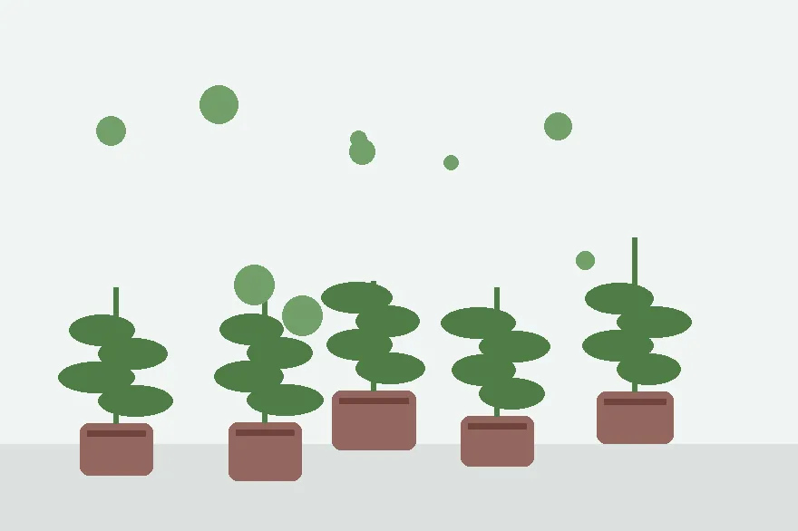 Humidity Domes for Leafy Cuttings: How to Keep Leaves Firm Without Rot